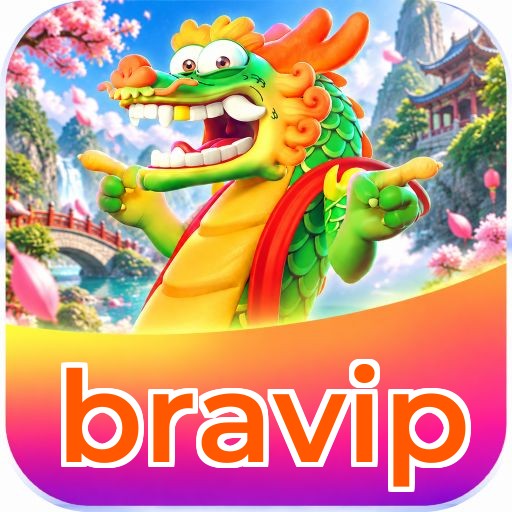 bravip Segurança